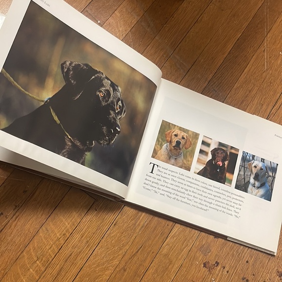 1995 Just Labs vintage hardcover book - Picture 11 of 17